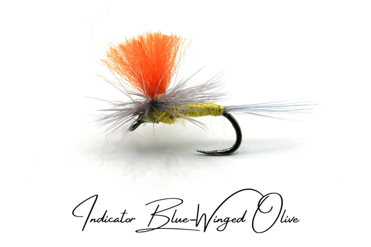 Indicator Blue-Winged Olive