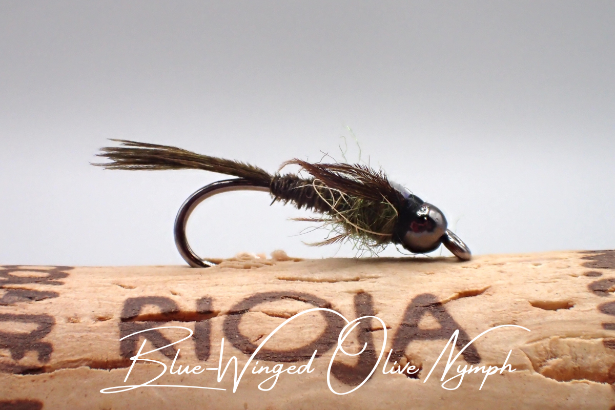 Blue-Winged Olive Nymph