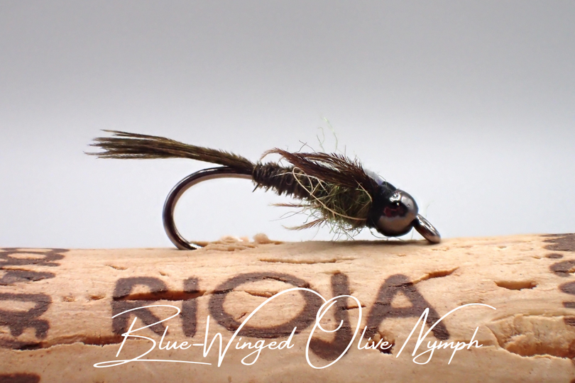 Blue-Winged Olive Nymph
