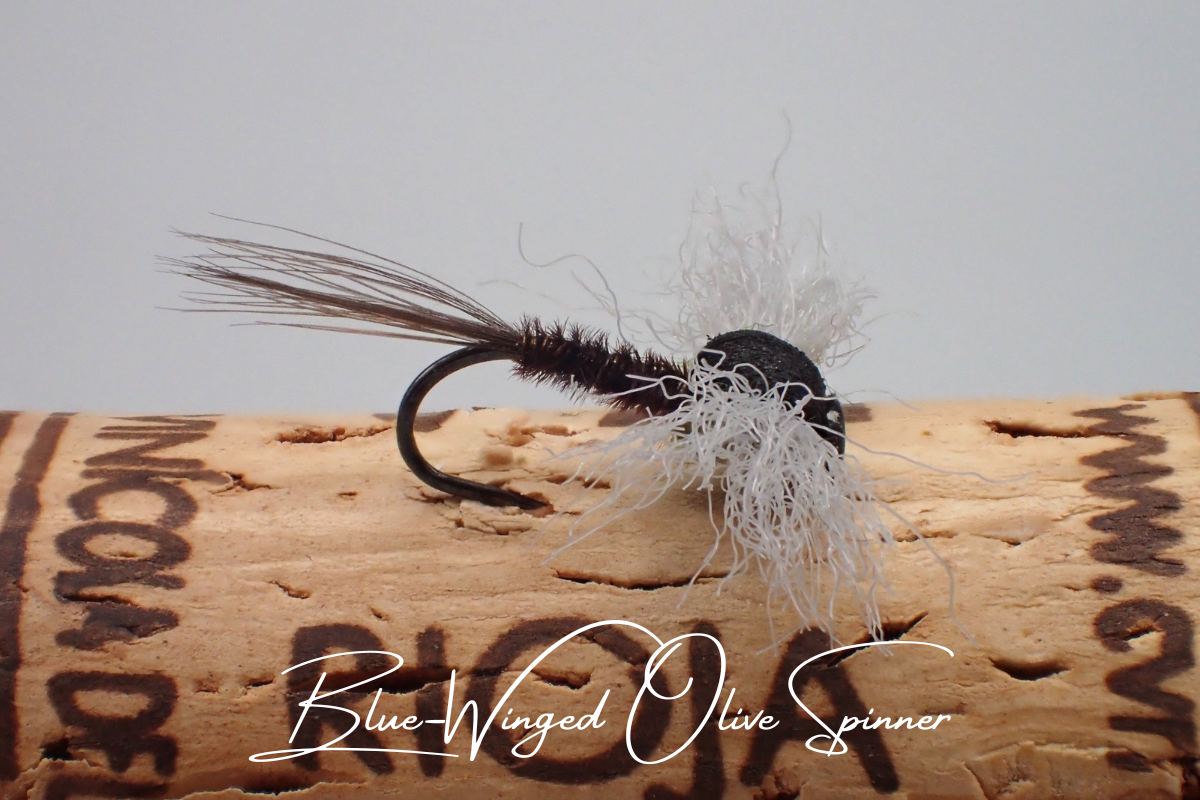 Blue-Winged Olive Spinner