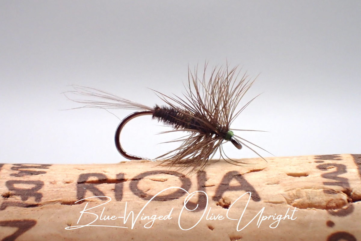 Blue-Winged Olive Upright
