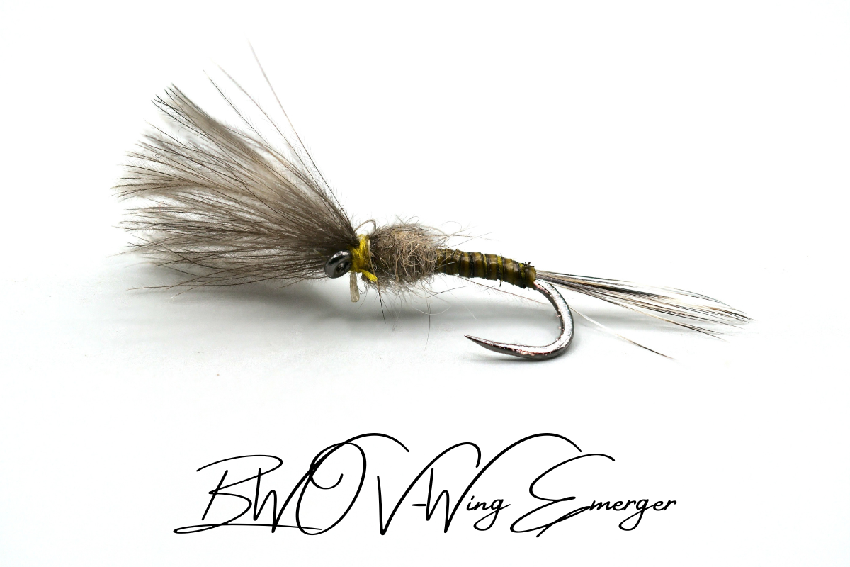 BWO V-Wing Emerger