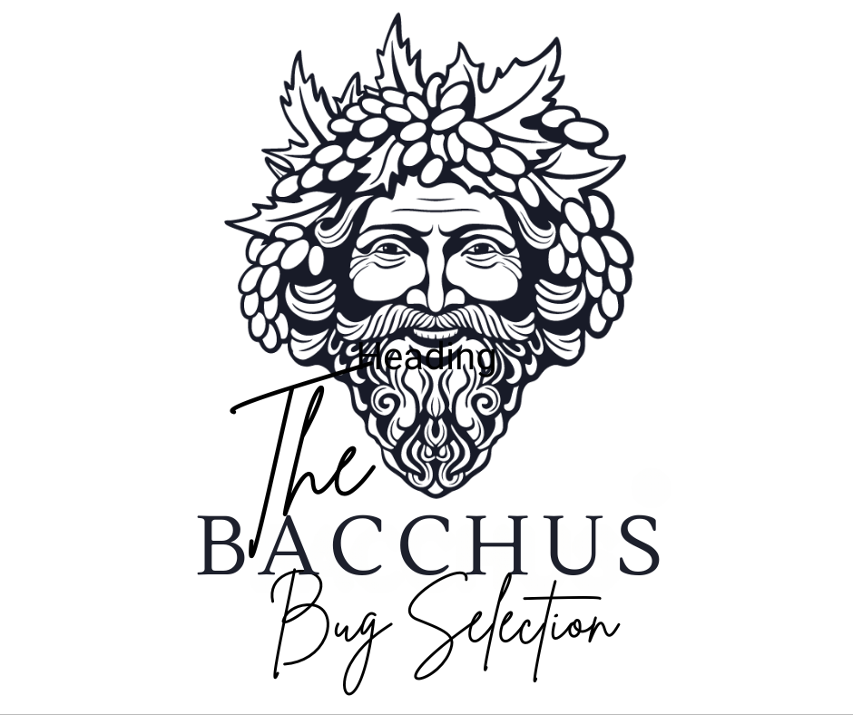 The Disco Shrimp (Bacchus Bug) Selection