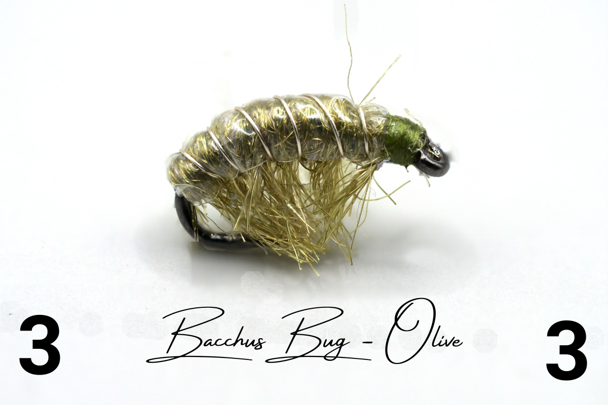 The Olive Disco Shrimp - Bacchus Bug