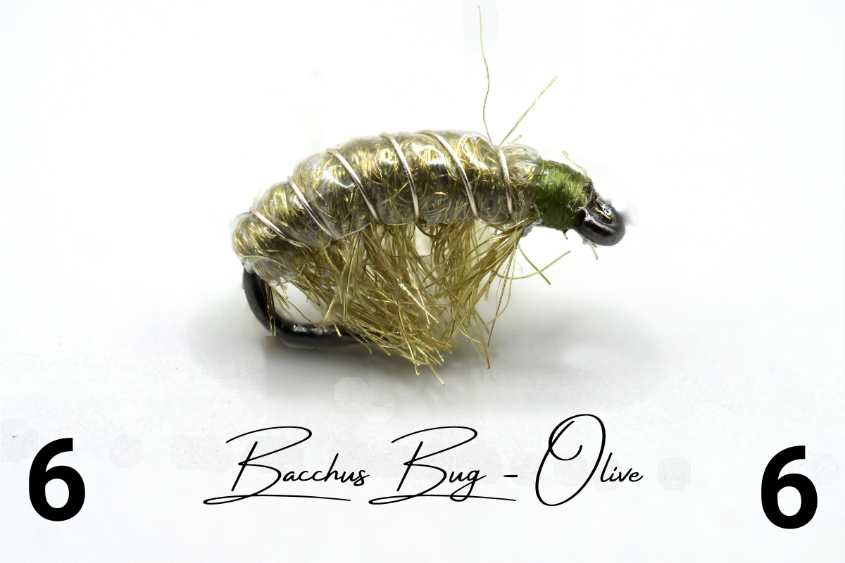 The Olive Disco Shrimp - Bacchus Bug