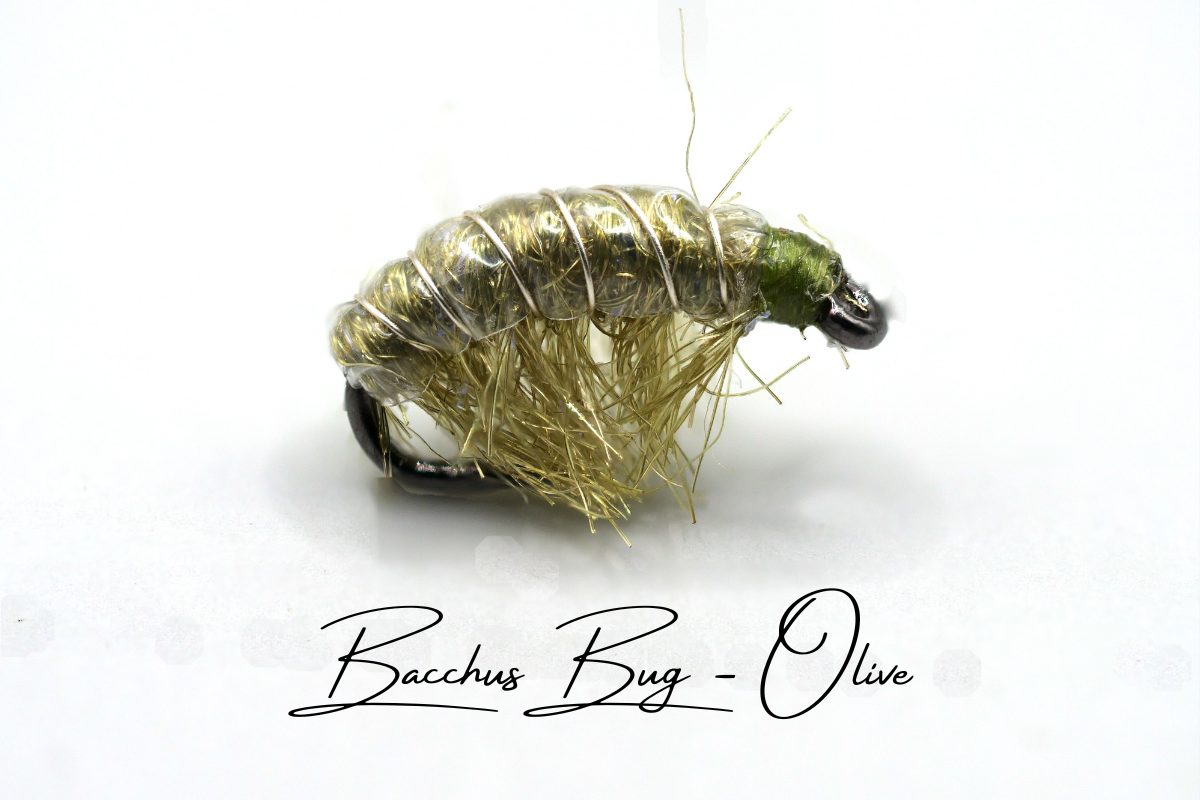 The Disco Shrimp (Bacchus Bug) Selection