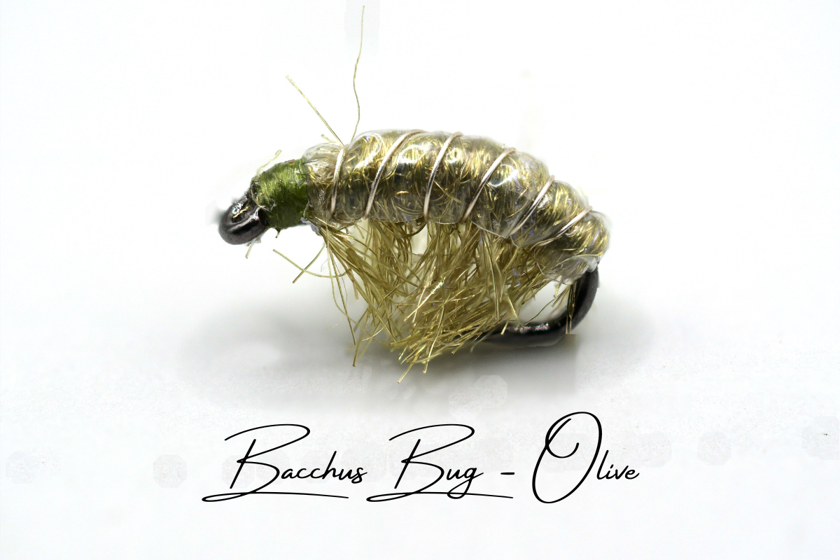 The Olive Disco Shrimp - Bacchus Bug