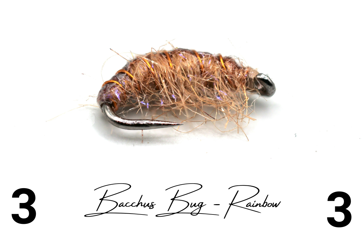 The Rainbow Disco Shrimp - Bacchus Bug