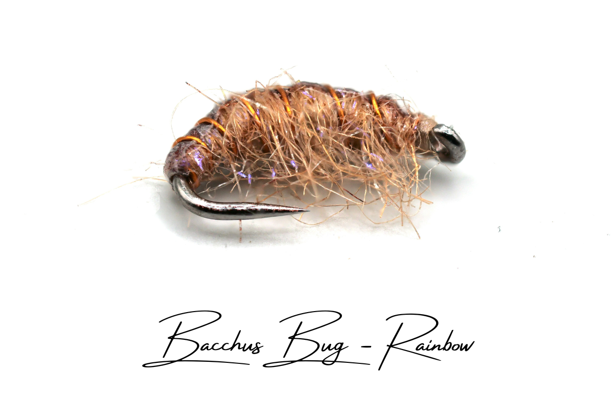 The Rainbow Disco Shrimp - Bacchus Bug