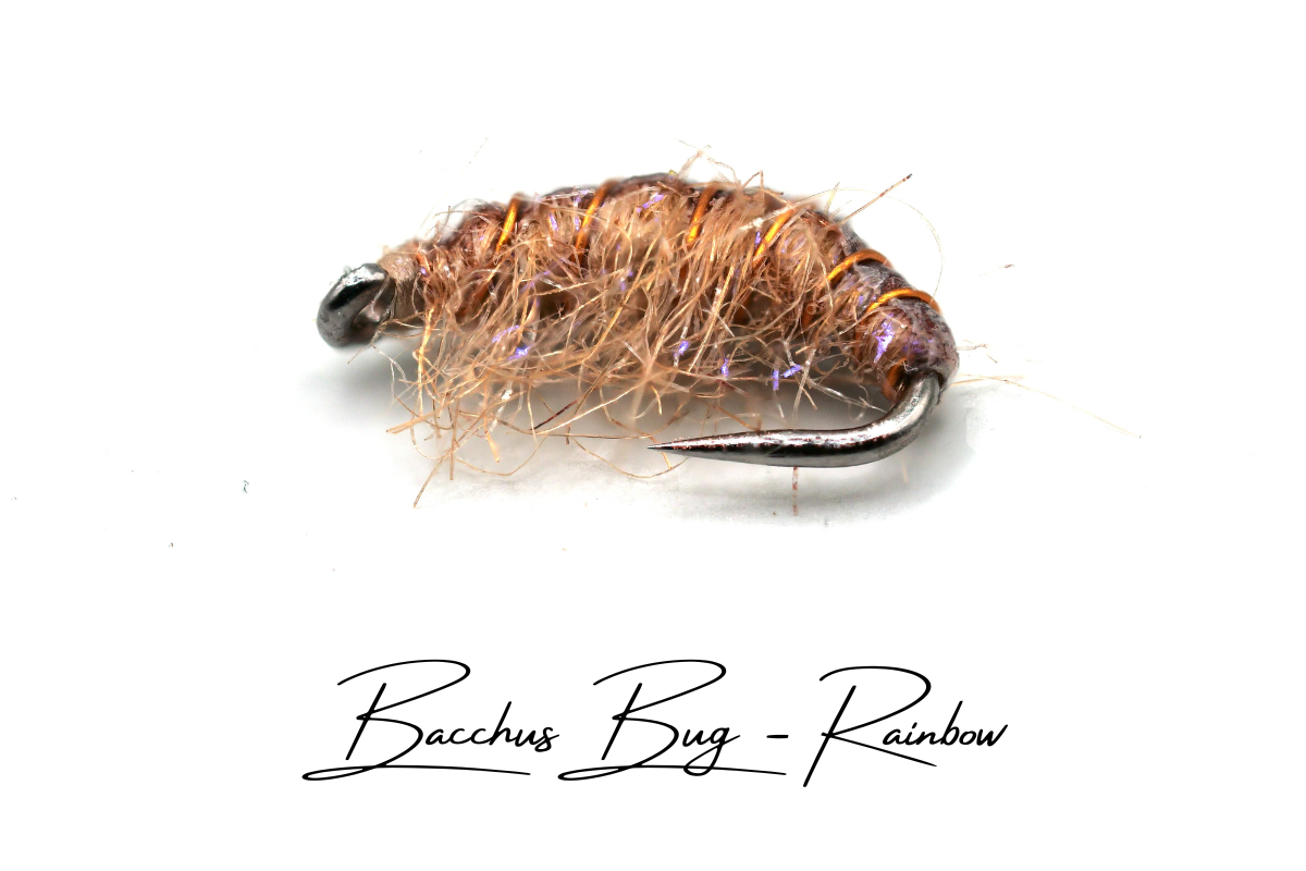 The Rainbow Disco Shrimp - Bacchus Bug