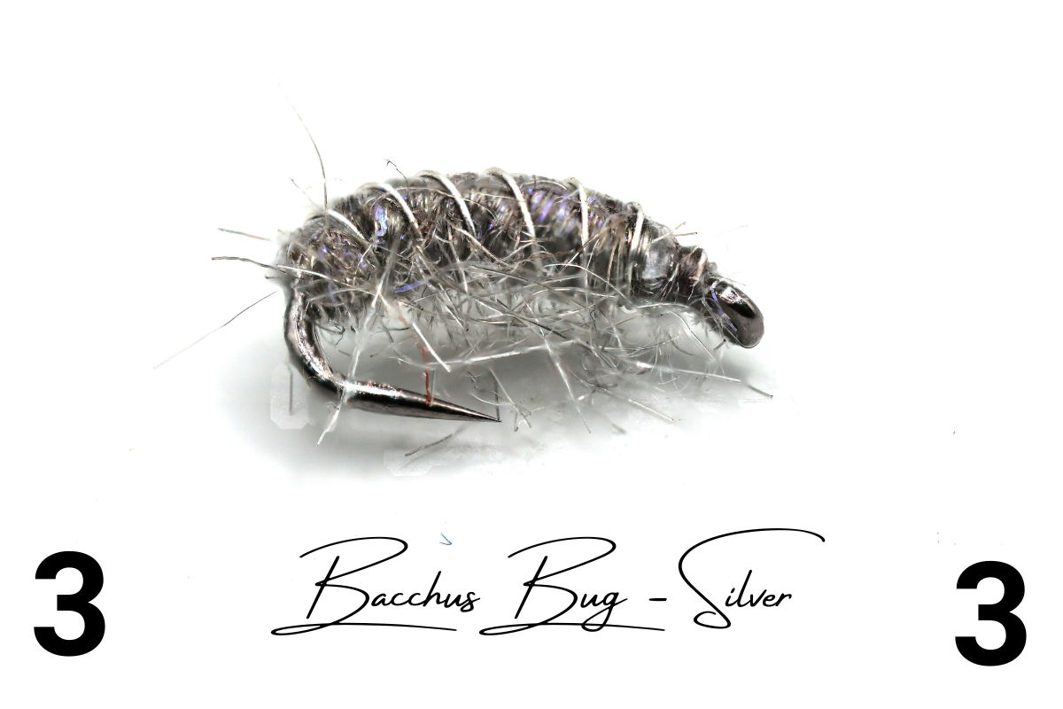 The Silver Disco Shrimp - Bacchus Bug
