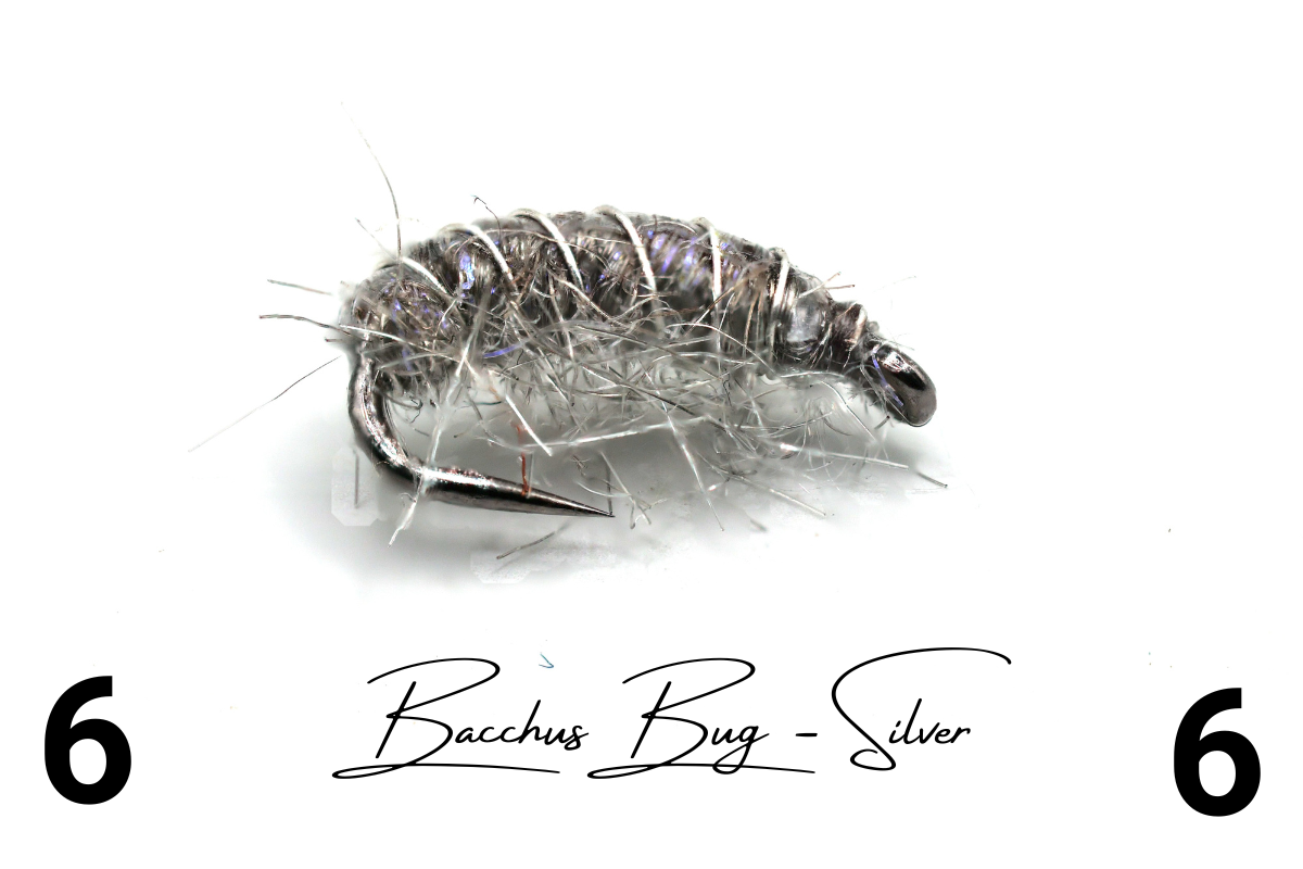 The Silver Disco Shrimp - Bacchus Bug