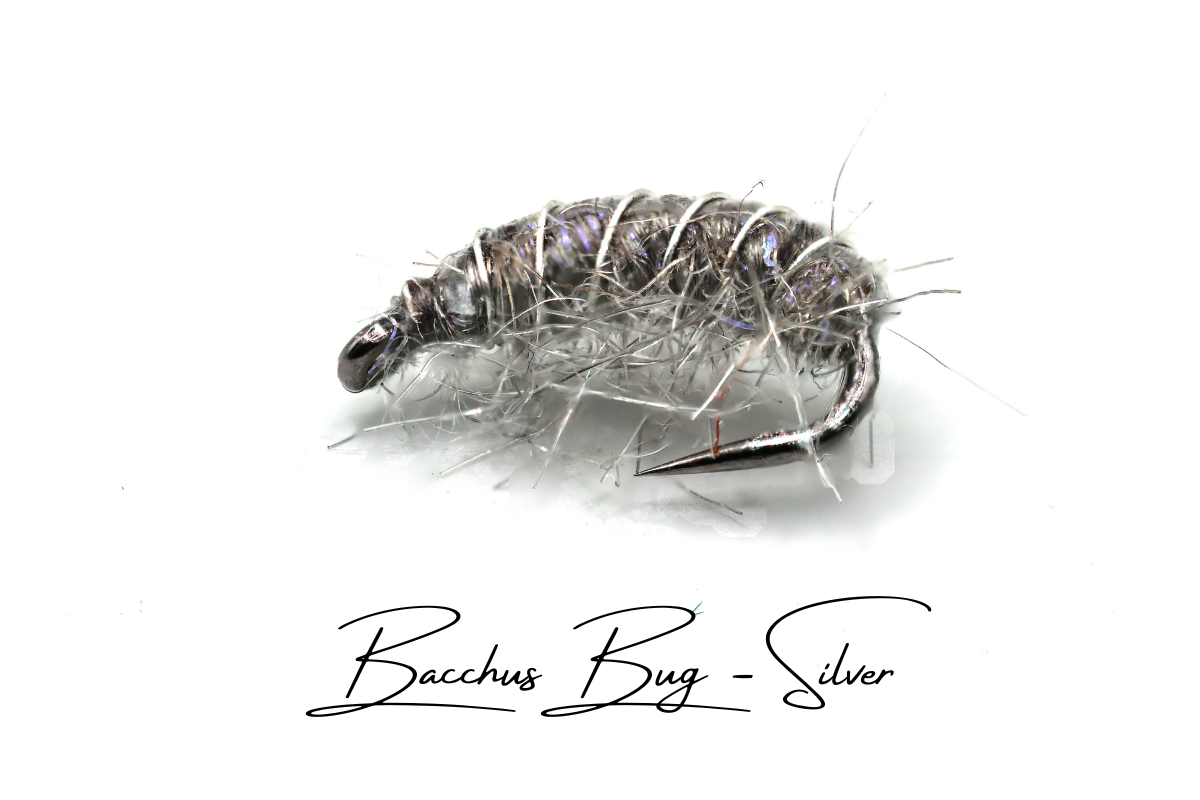 The Silver Disco Shrimp - Bacchus Bug