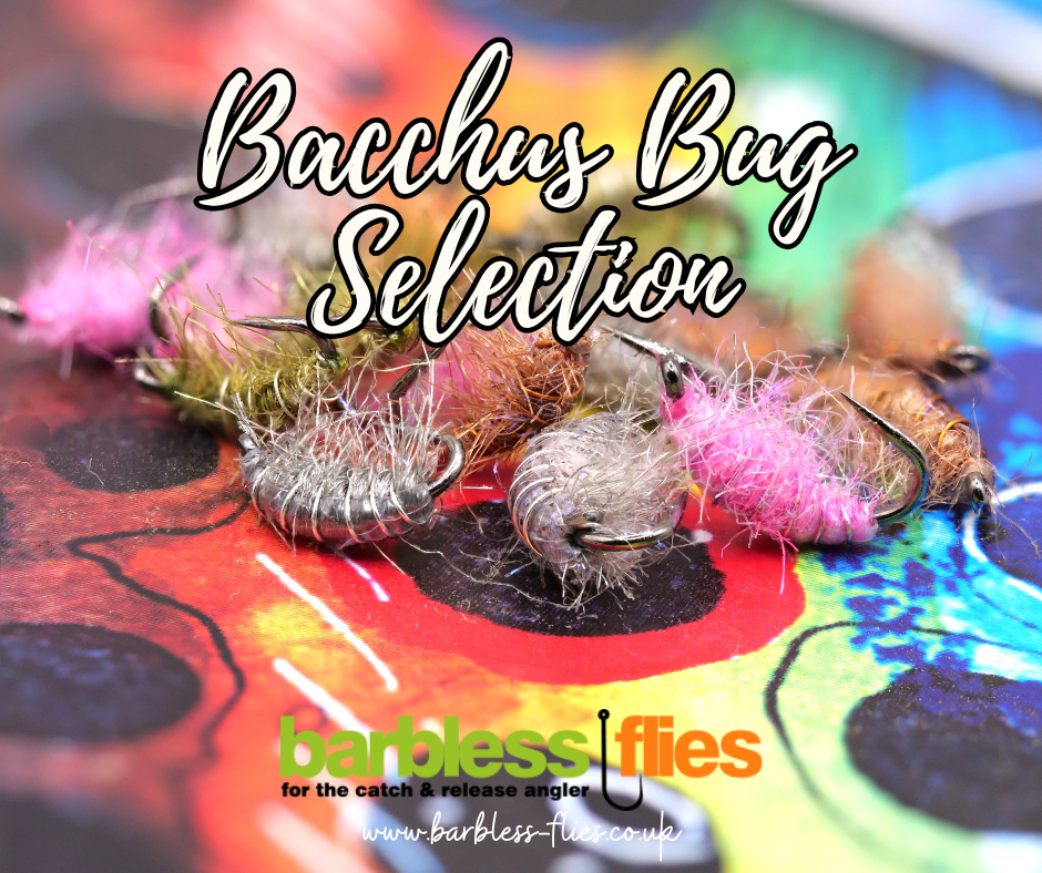 The Disco Shrimp (Bacchus Bug) Selection