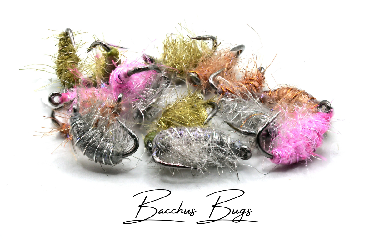 The Disco Shrimp (Bacchus Bug) Selection