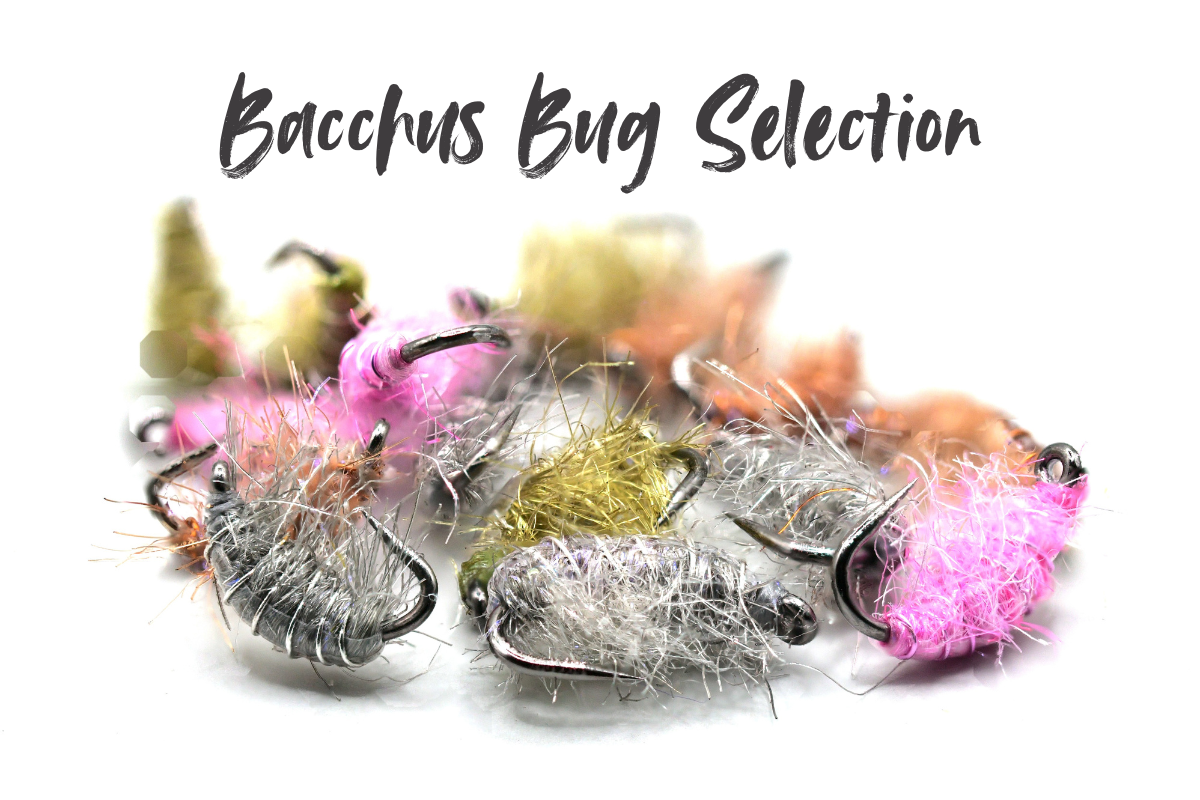 The Disco Shrimp (Bacchus Bug) Selection
