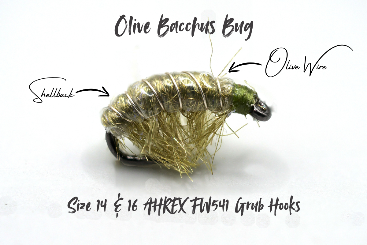 The Olive Disco Shrimp - Bacchus Bug