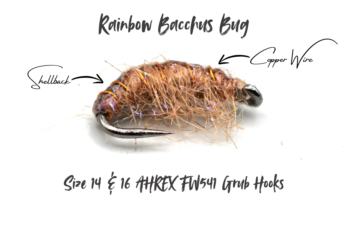 The Rainbow Disco Shrimp - Bacchus Bug