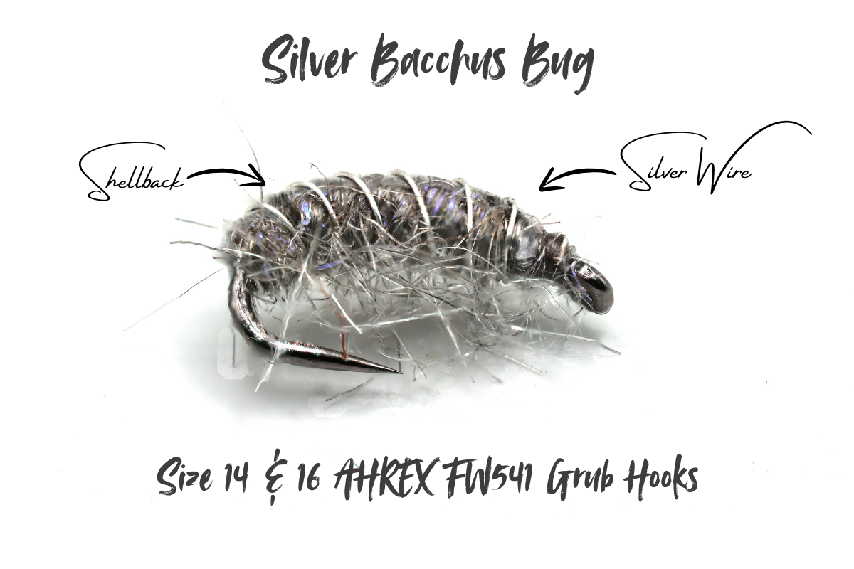 The Silver Disco Shrimp - Bacchus Bug