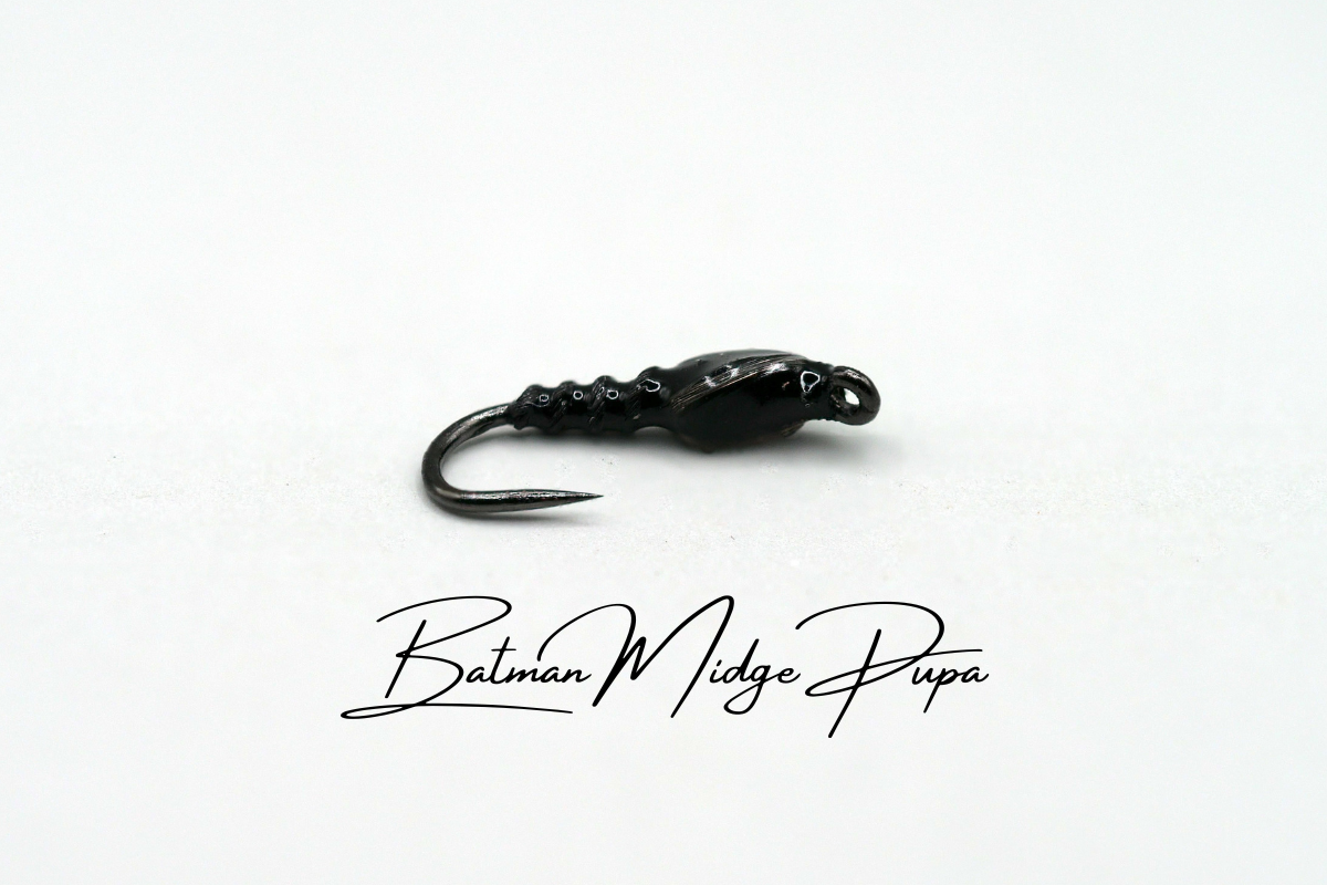 Batman Midge Pupa