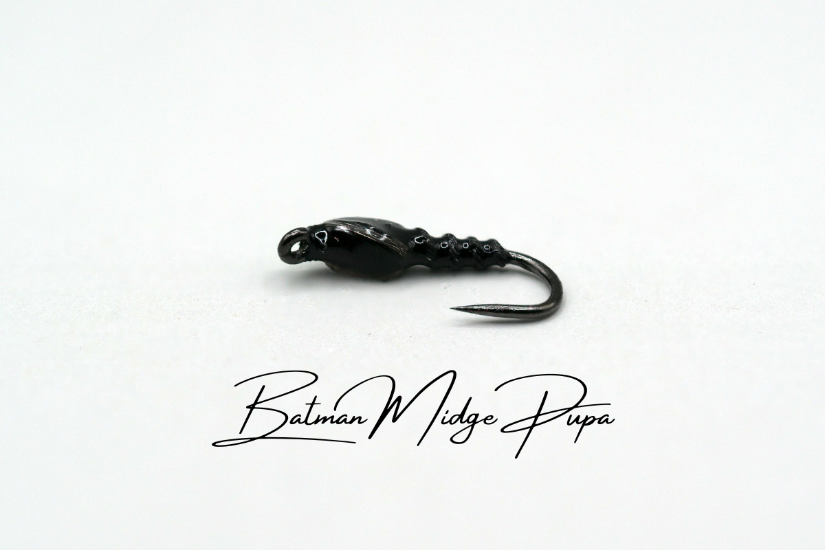 Batman Midge Pupa