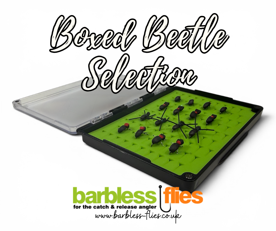 The Barbless Beetle Selection