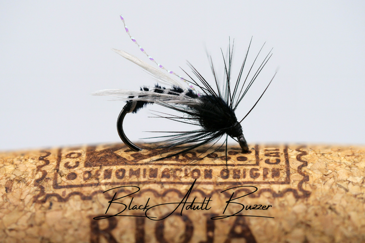 The Adult & Emerging Buzzer Selection