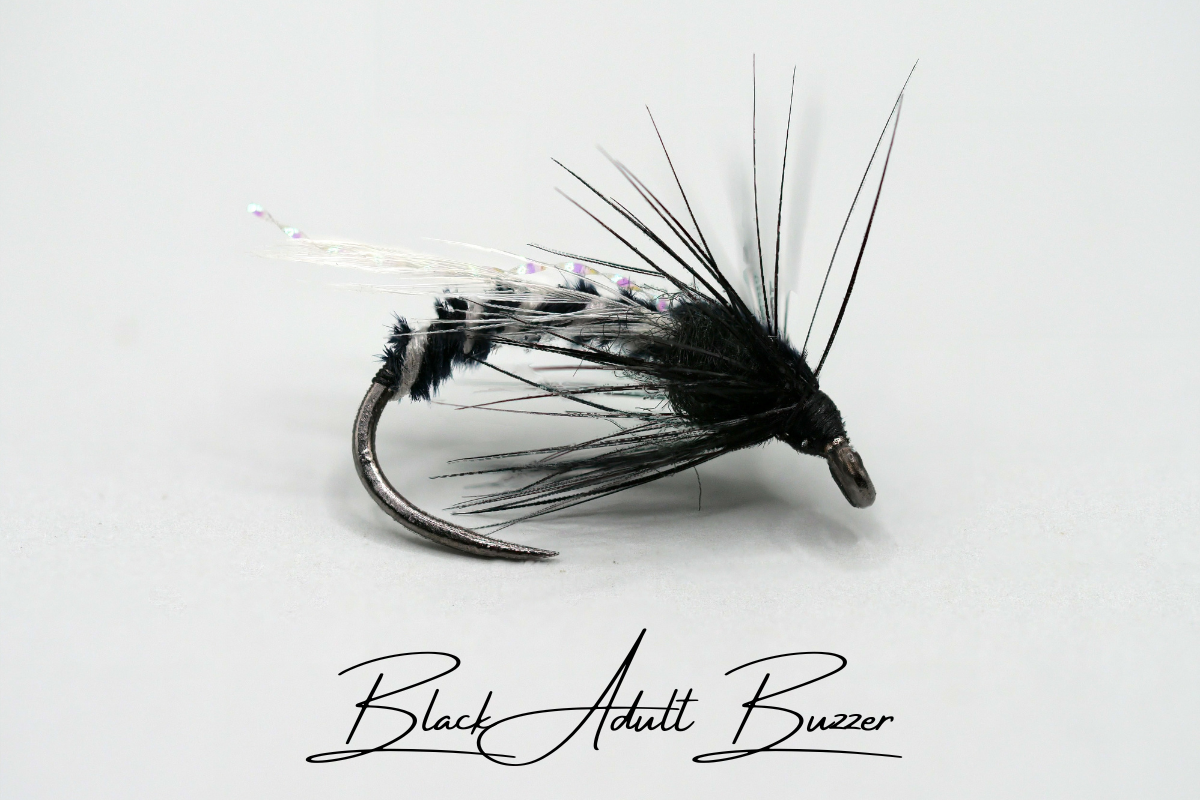 The Adult & Emerging Buzzer Selection