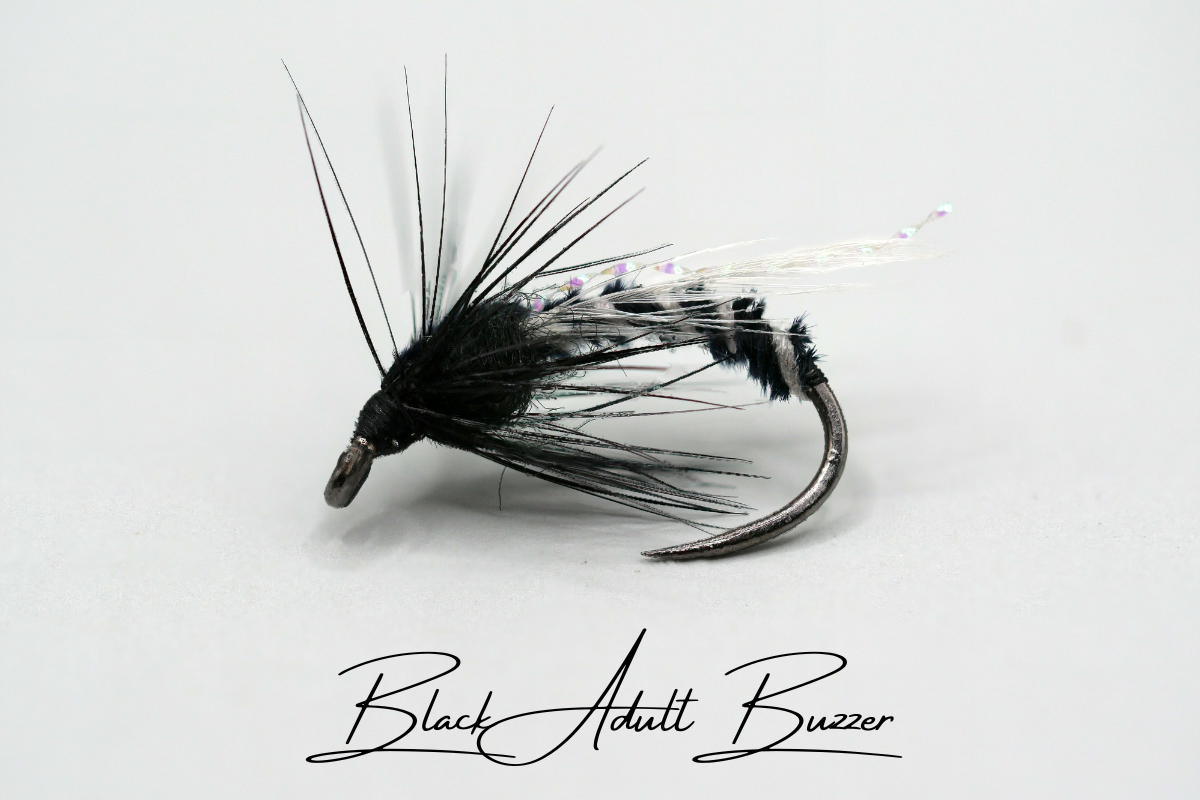 Black Adult Buzzer