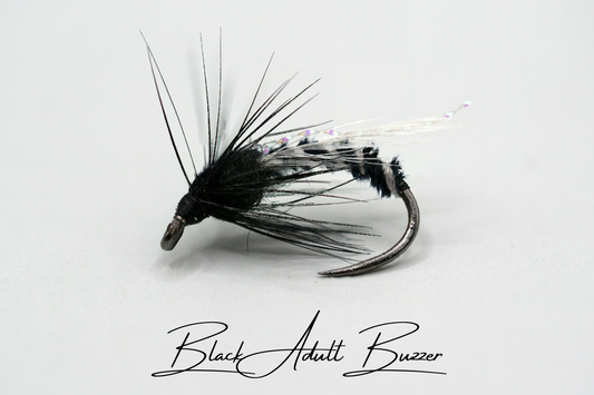Black Adult Buzzer