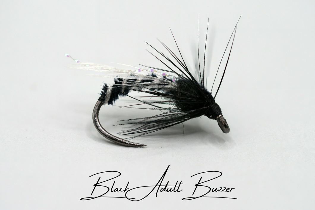 Black Adult Buzzer