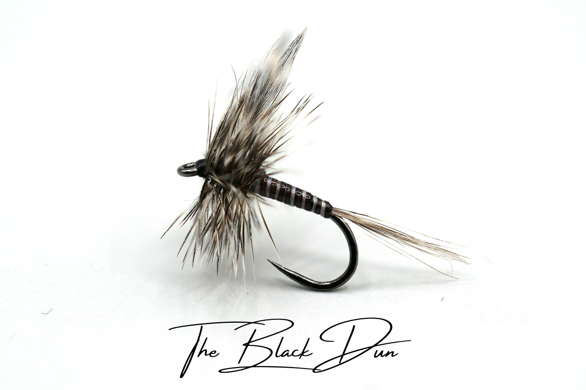 The Black Dun