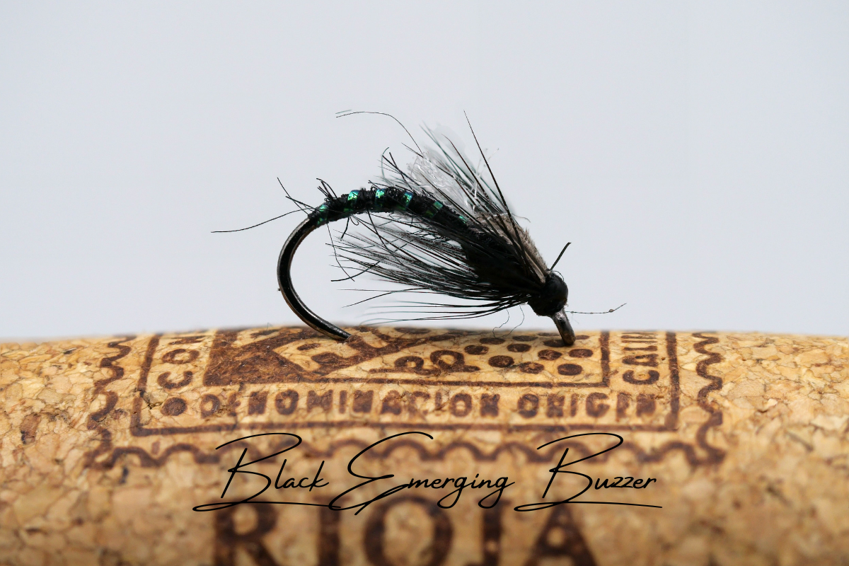 The Adult & Emerging Buzzer Selection