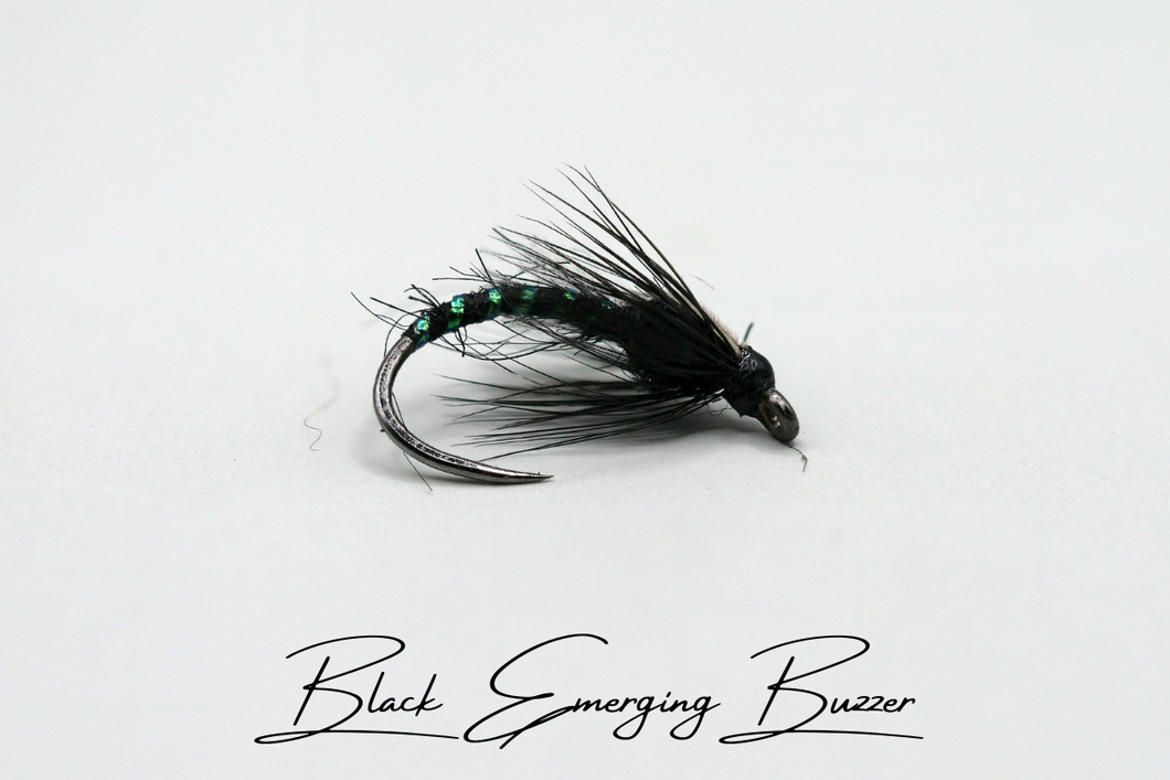 Black Emerging Buzzer