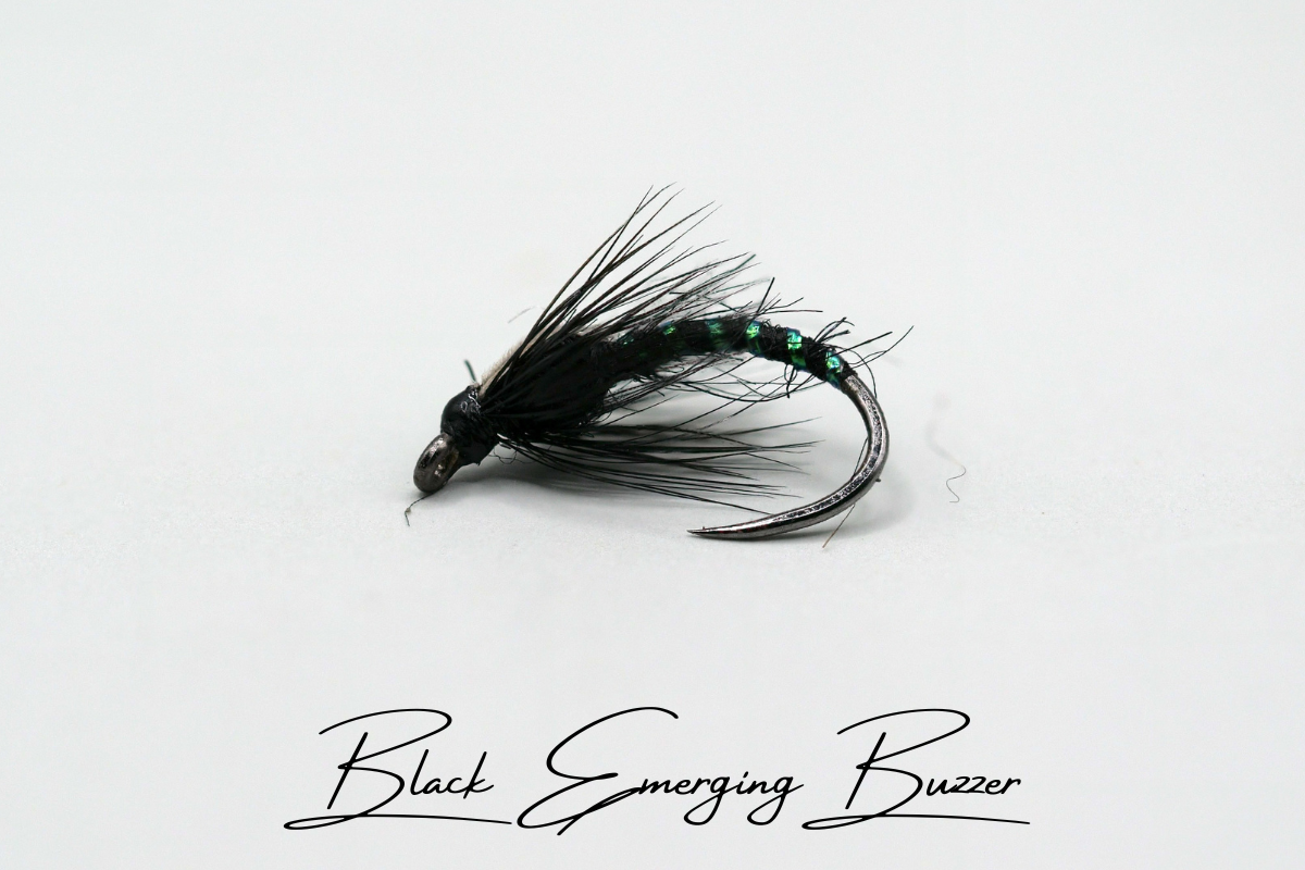 Black Emerging Buzzer
