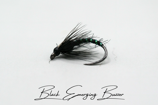 Black Emerging Buzzer