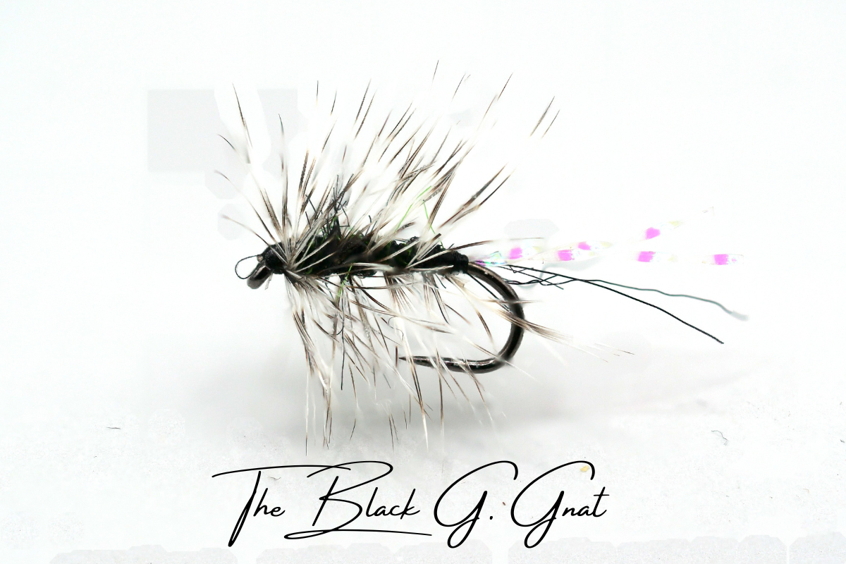 The Black Griffith's Gnat