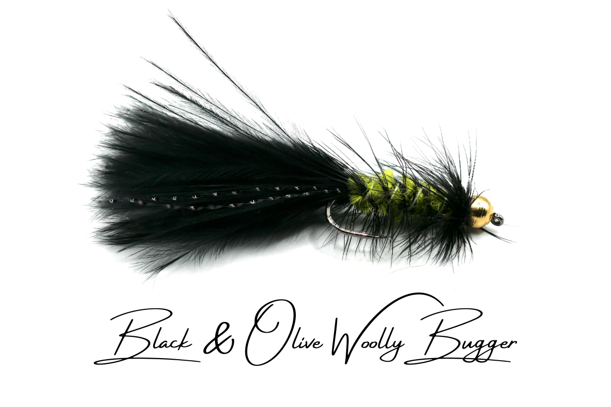 Black & Olive Woolly Bugger