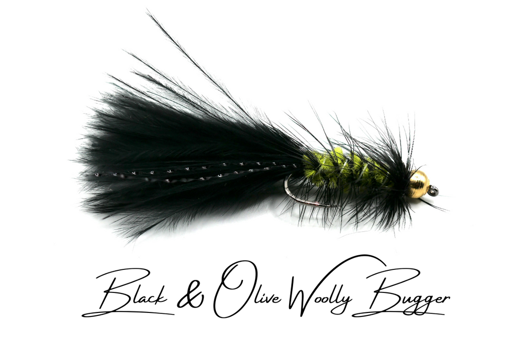Black & Olive Woolly Bugger