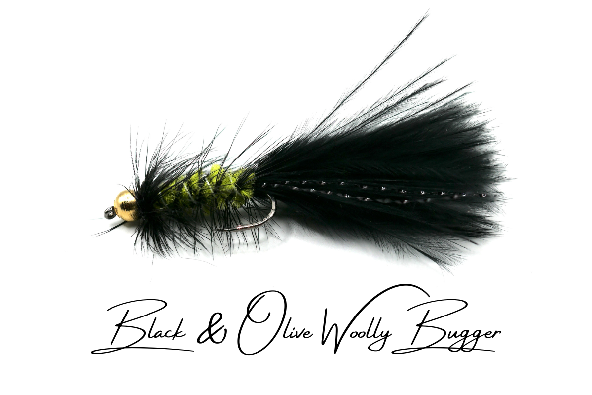 Black & Olive Woolly Bugger