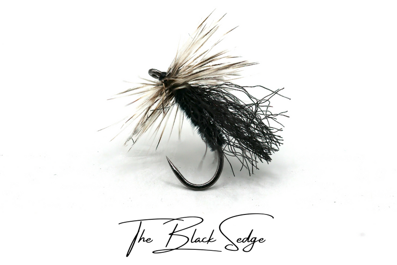 The Black Sedge