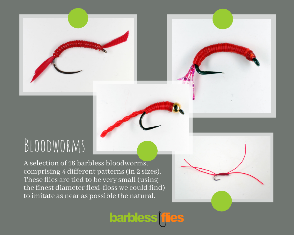 Barbless Flies Bloodworm Selection - Main Image