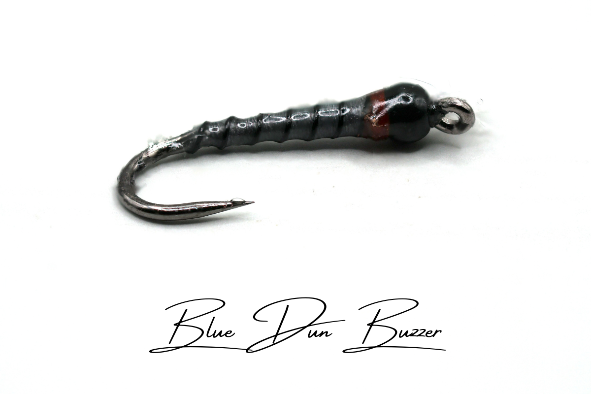 Blue Dun Buzzer