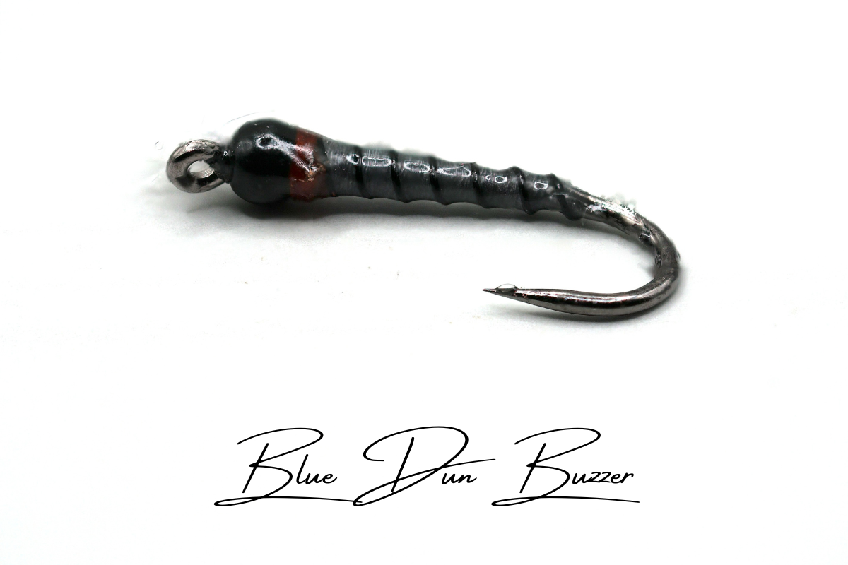 Blue Dun Buzzer