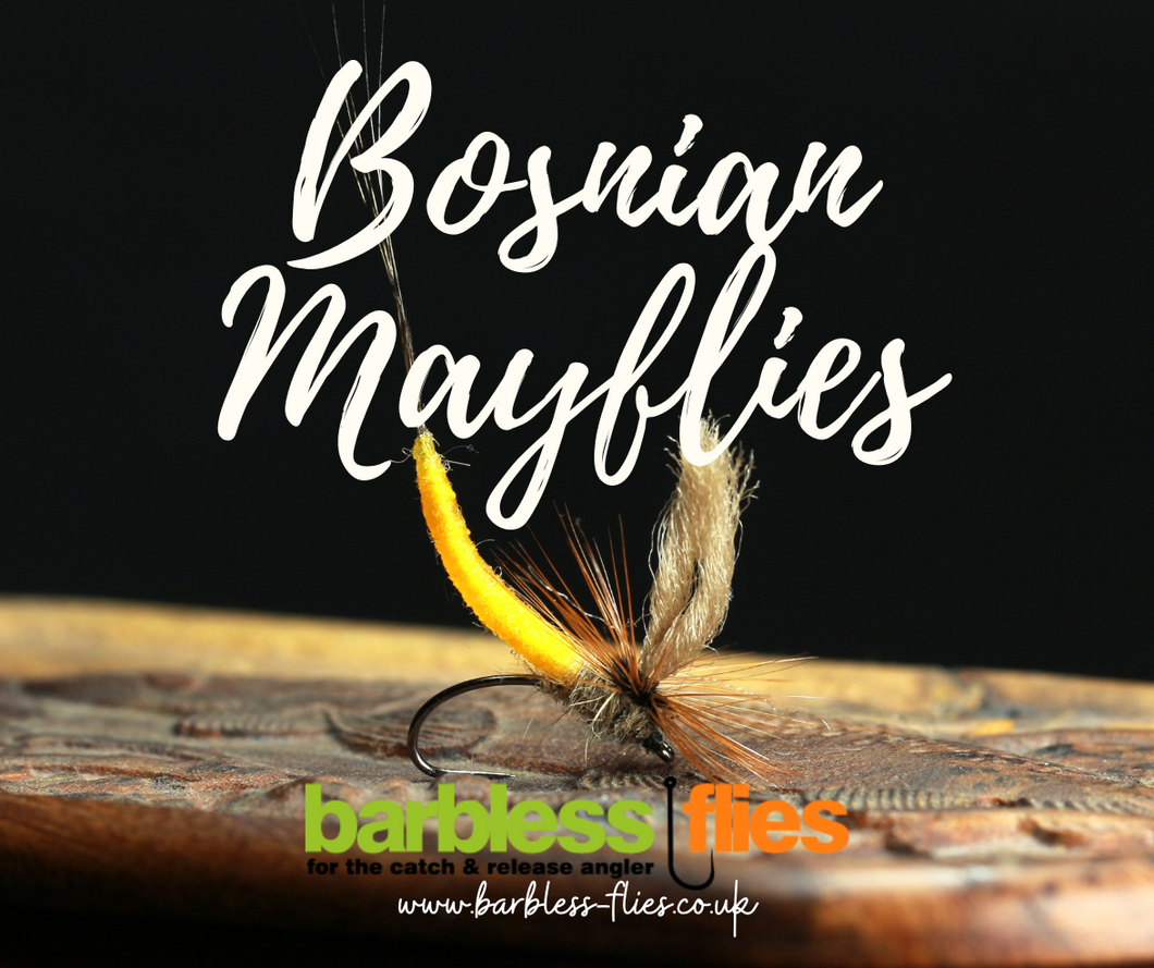 Bosnian Mayfly Selection