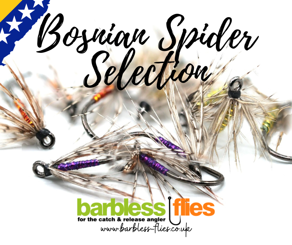 Bosnian Spider Selection