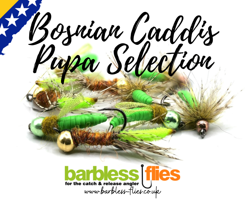 Bosnian Caddis Pupa Selection