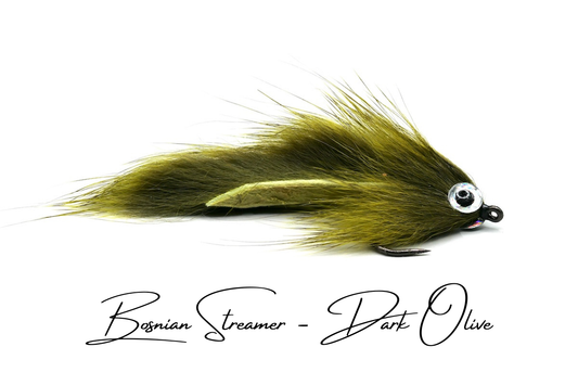 Bosnian Pine Squirrel Zonker (Bjelica)