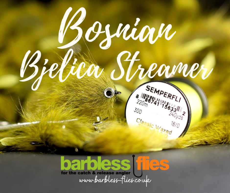 Bosnian Pine Squirrel Zonker (Bjelica) Selection