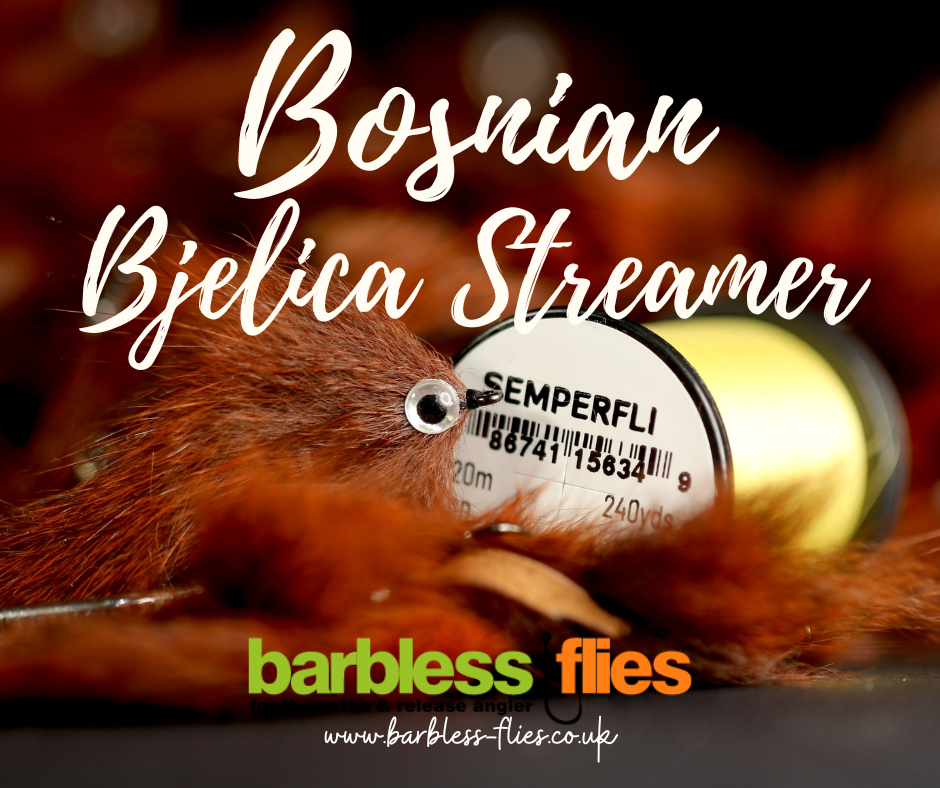 Bosnian Pine Squirrel Zonker (Bjelica) Selection